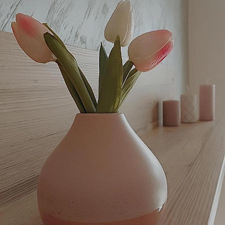 Sunray Apartman Požarevac Extérieur photo